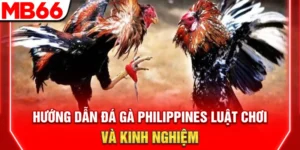 huong dan da ga philippines luat choi va kinh nghiem 300x150 1