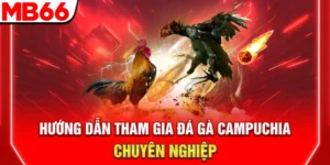 huong dan tham gia da ga campuchia chuyen nghiep 300x150 1