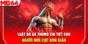 luat da ga thomo chi tiet cho nguoi moi cuc don gian 300x150 1